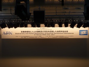 P1010343