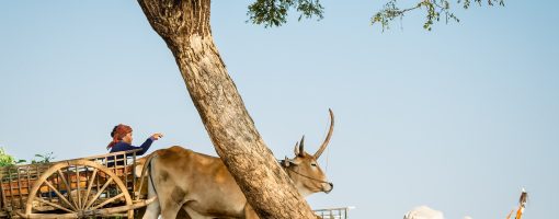 Community resilience assessment to support climate change adaptation in Cambodia and Viet Nam