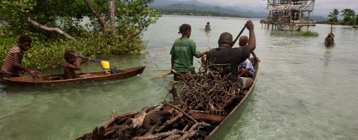 Barriers, needs and potential solutions to reducing vulnerability to global environment change for least developed countries in the Asia-Pacific Region