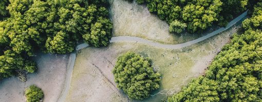 Sustainable mangrove rehabilitation: Lessons and insights from community-based management in the Philippines and Myanmar