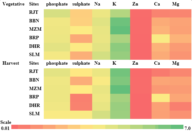 Figure 7. Heat map showing variations in phosphate, sulphate, Na, K, Zn, Ca and Mg (mg g<sup>-1</sup>) contents during vegetative and harvest stages of rice in the selected sites in India in 2018.