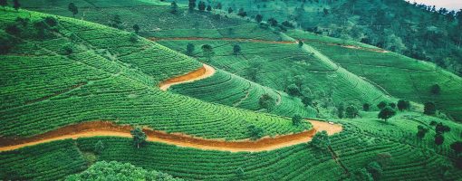 Lessons learnt from implementing training on Ecosystems Resilience in a Changing Climate for sectoral development in South and Southeast Asia