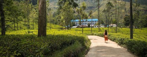 Climate resilience of farming systems in steep mountain terrain of selected regions in South Asia