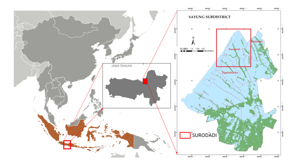 Figure 1. Study area, Sayung subdistrict, Central Java, and Surodadi village. Vector map from ( Worldometer.info, 2021).