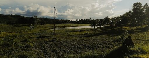 Rainwater harvesting for enhancing upland agriculture: Lessons and experiences in selected upland farming communities in Albay Province, Philippines