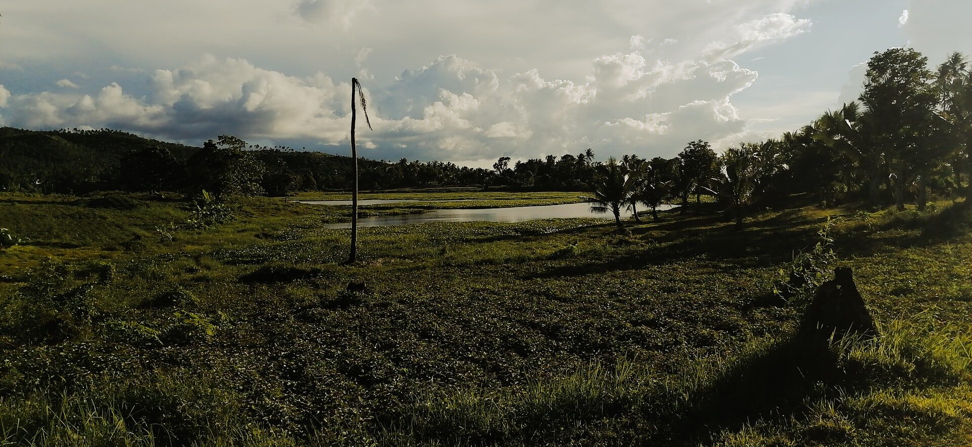 Rainwater harvesting for enhancing upland agriculture Lessons and experiences in selected