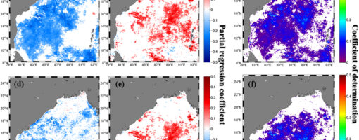 Spatial variability of nutrient sources determining phytoplankton Chlorophyll-a concentrations in the Bay of Bengal