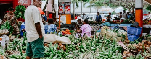 Enhancing capacity of scientists and practitioners for promoting more sustainable and resilient food systems in Indonesia and the South Pacific