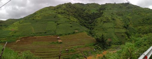 Potential of agroforestry for climate change adaptation in the Northwest mountainous region of Vietnam