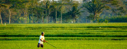 Capacity development of farmer group in using affordable micro-irrigation for small-scale farming in marginal land