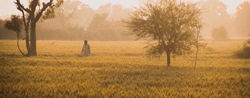 Climate-smart agriculture strategies for South Asia to address the challenges of climate change: Identification of climate-resilient agriculture practices for India, Bangladesh, and Afghanistan