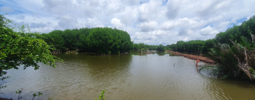 Towards sustainable mangrove-shrimp aquaculture through capacity building and partnership in the Mekong River Delta