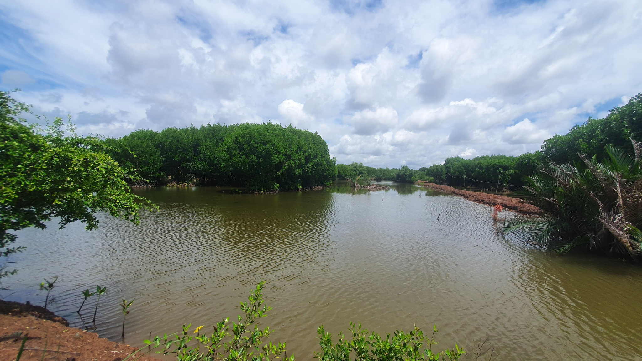 Wanamina Towards sustainable mangrove-shrimp aquaculture through capacity ...