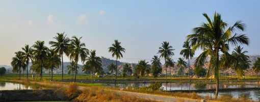 Artificial recharge initiatives in India: Challenges and future scope