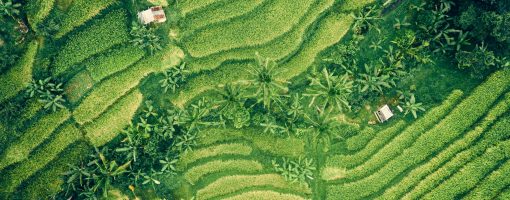 Fostering the Regional Circulating and Ecological Sphere approach to translate global goals into local actions: Lessons from national scoping workshops in ASEAN countries