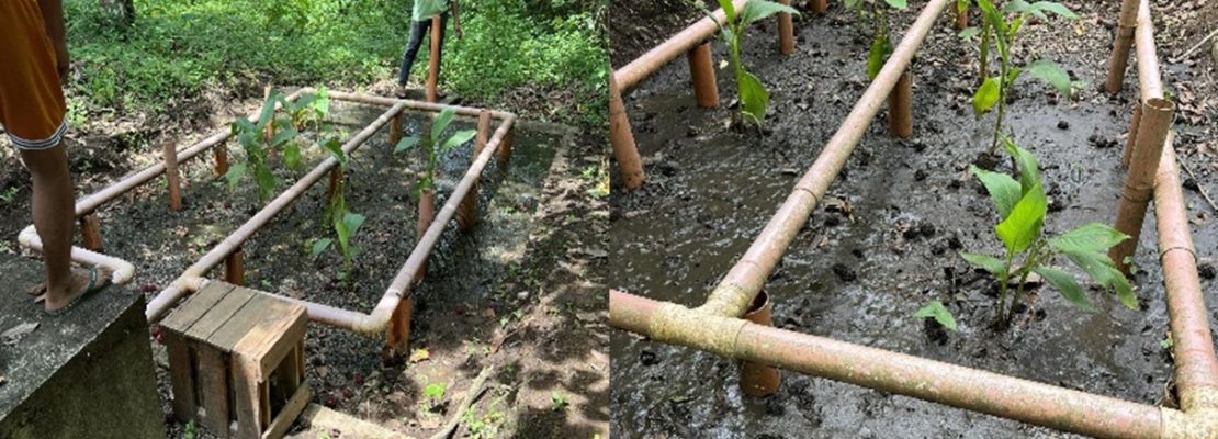 Integrated assessment of existing practices and development of pathways for the effective integration of nature-based water treatment in urban areas