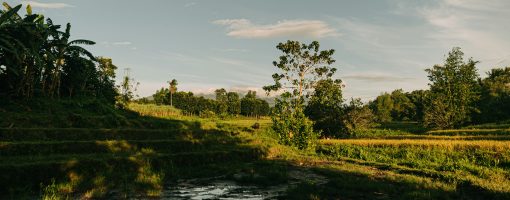 Building resiliency of smallholder farmers in upland farming communities in Isabela Province, Philippines