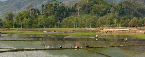 Current situation and capacity building needs of agricultural extension staff in the context of climate change: A case study in mountainous areas of Vietnam