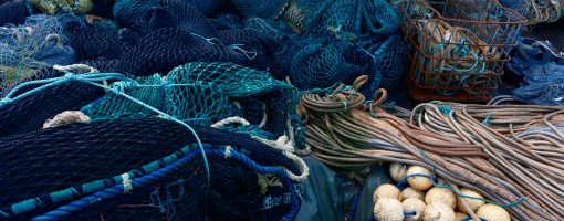 Strengthening livelihood resilience through community-based aquaculture in rural Northern Thailand: Successes and challenges