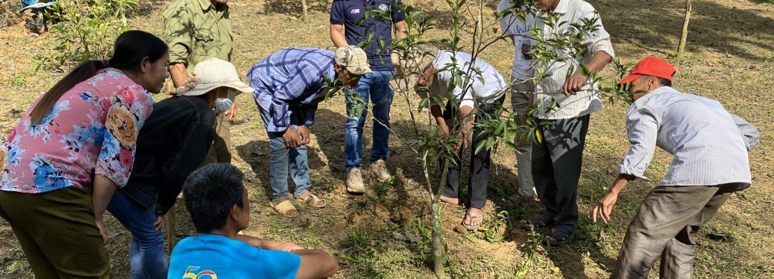 Capacity development for smallholder farmers on climate-smart agriculture via co-experiments in home gardens