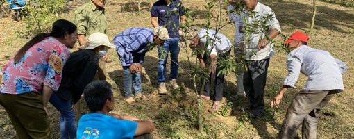 Capacity development for smallholder farmers on climate-smart agriculture via co-experiments in home gardens