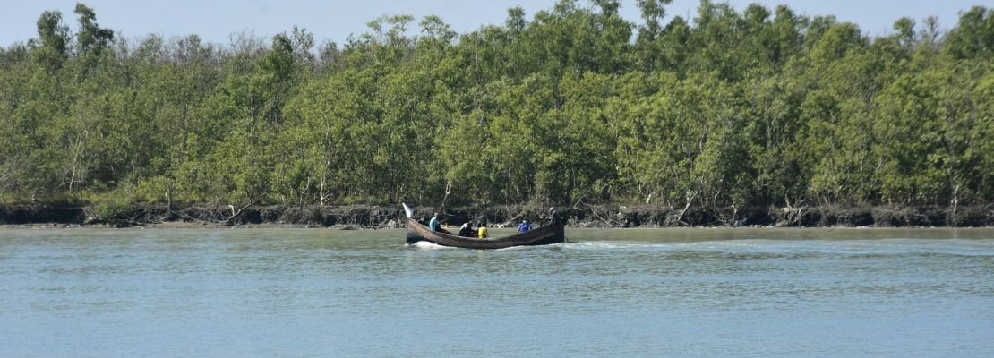 Exploring sociocultural connections for conserving large carnivore habitats for biodiversity and climate friendly landscape management: Case study from the Sundarbans in Bangladesh