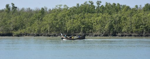 Exploring sociocultural connections for conserving large carnivore habitats for biodiversity and climate friendly landscape management: Case study from the Sundarbans in Bangladesh