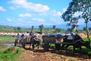 Sustainably managing our biodiversity is parallel to food security and human well-being.