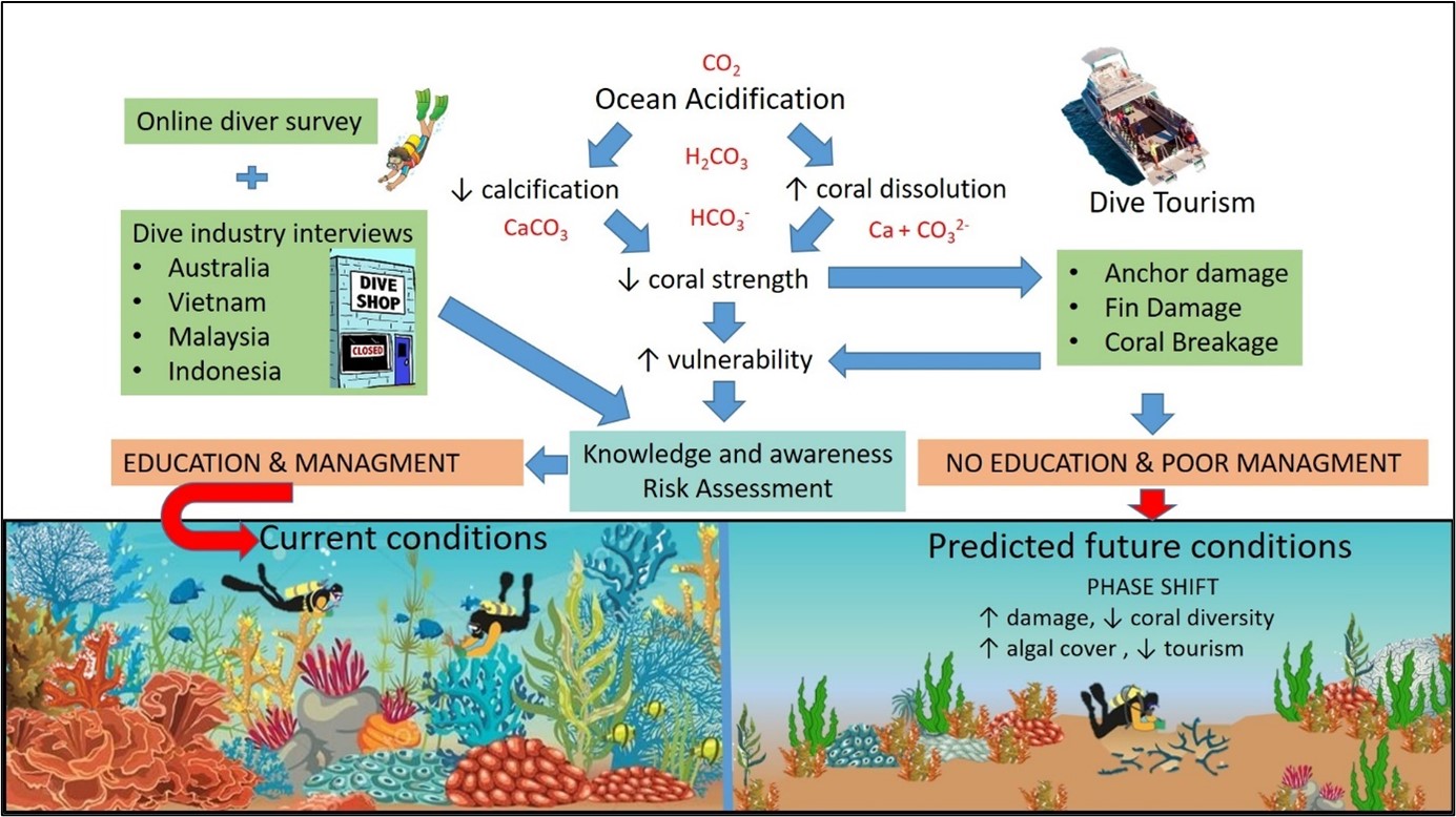 Ocean acidification and implications of the COVID Biology Diagrams