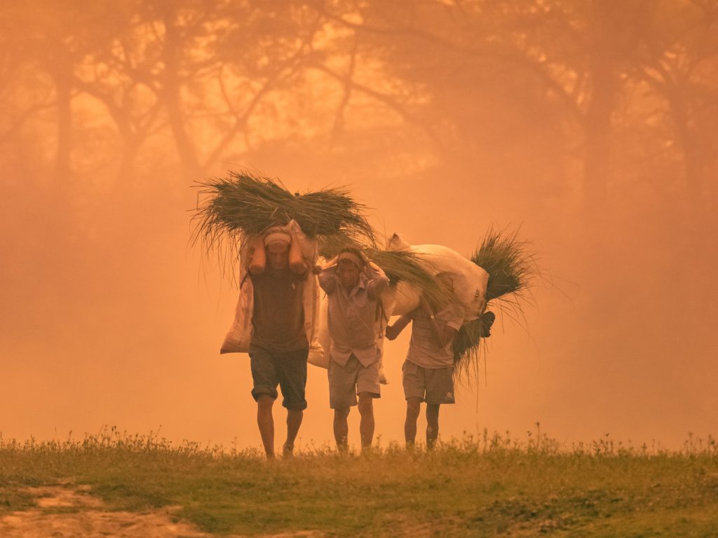 Goal Gender Orientated Adaptive Transformation Cross Learning For