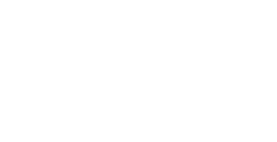 APN Logo