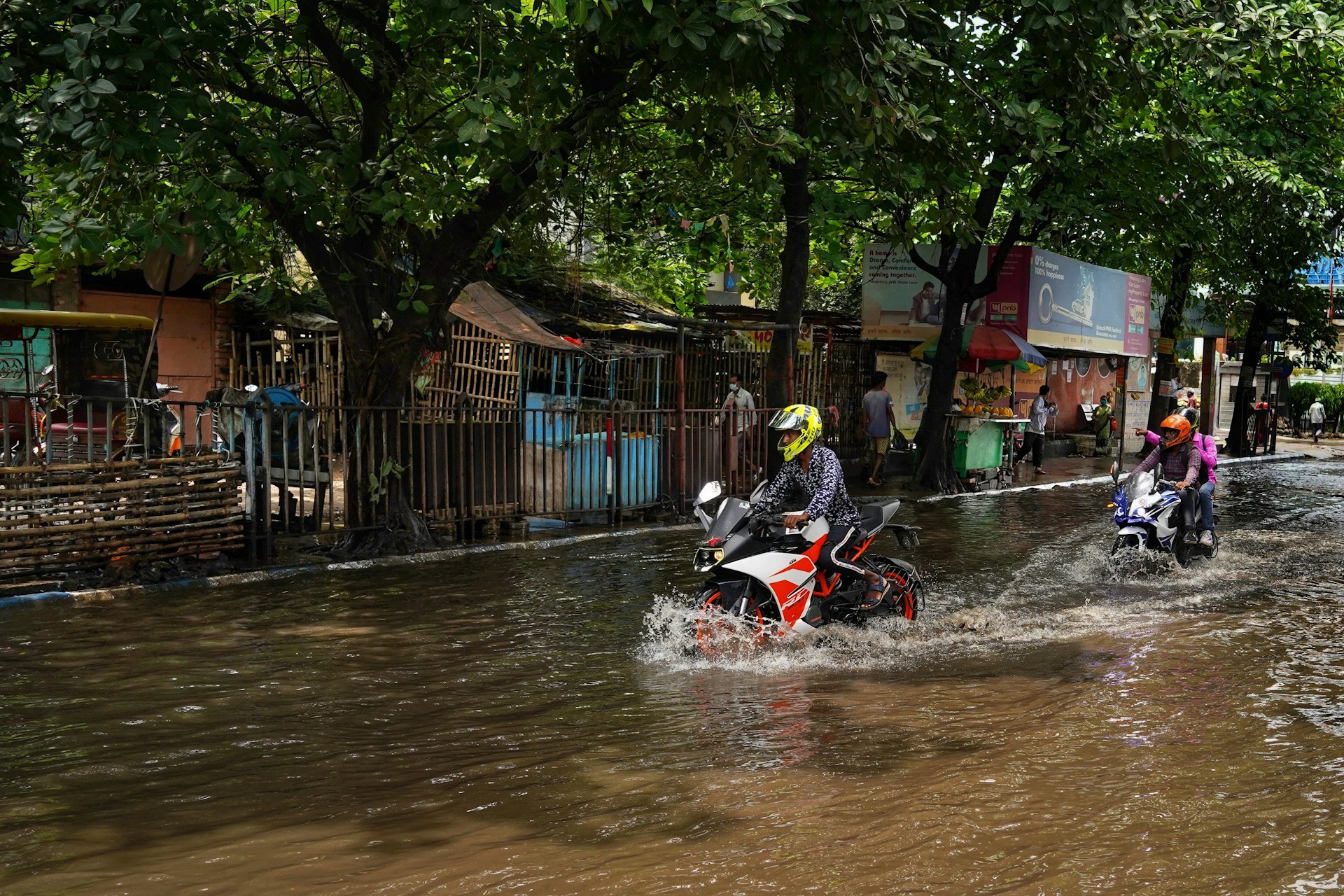 Risk reduction and resilience